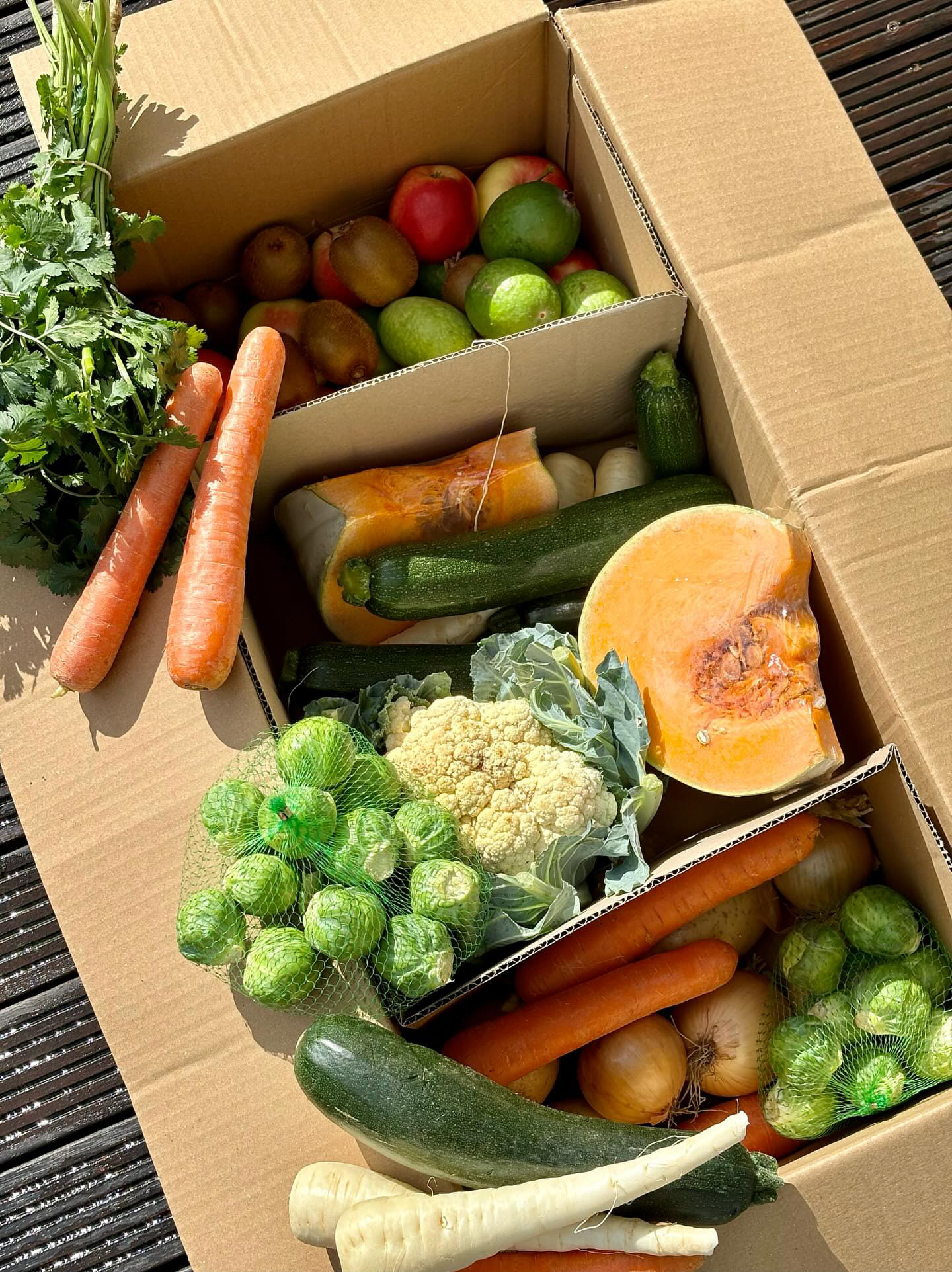 GardenBox